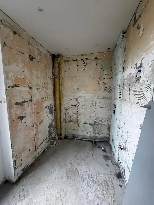 Before renovation photo of small room with peeling plaster walls and exposed plumbing during demolition phase